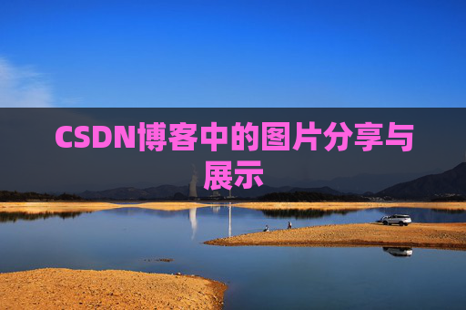 CSDN博客中的图片分享与展示